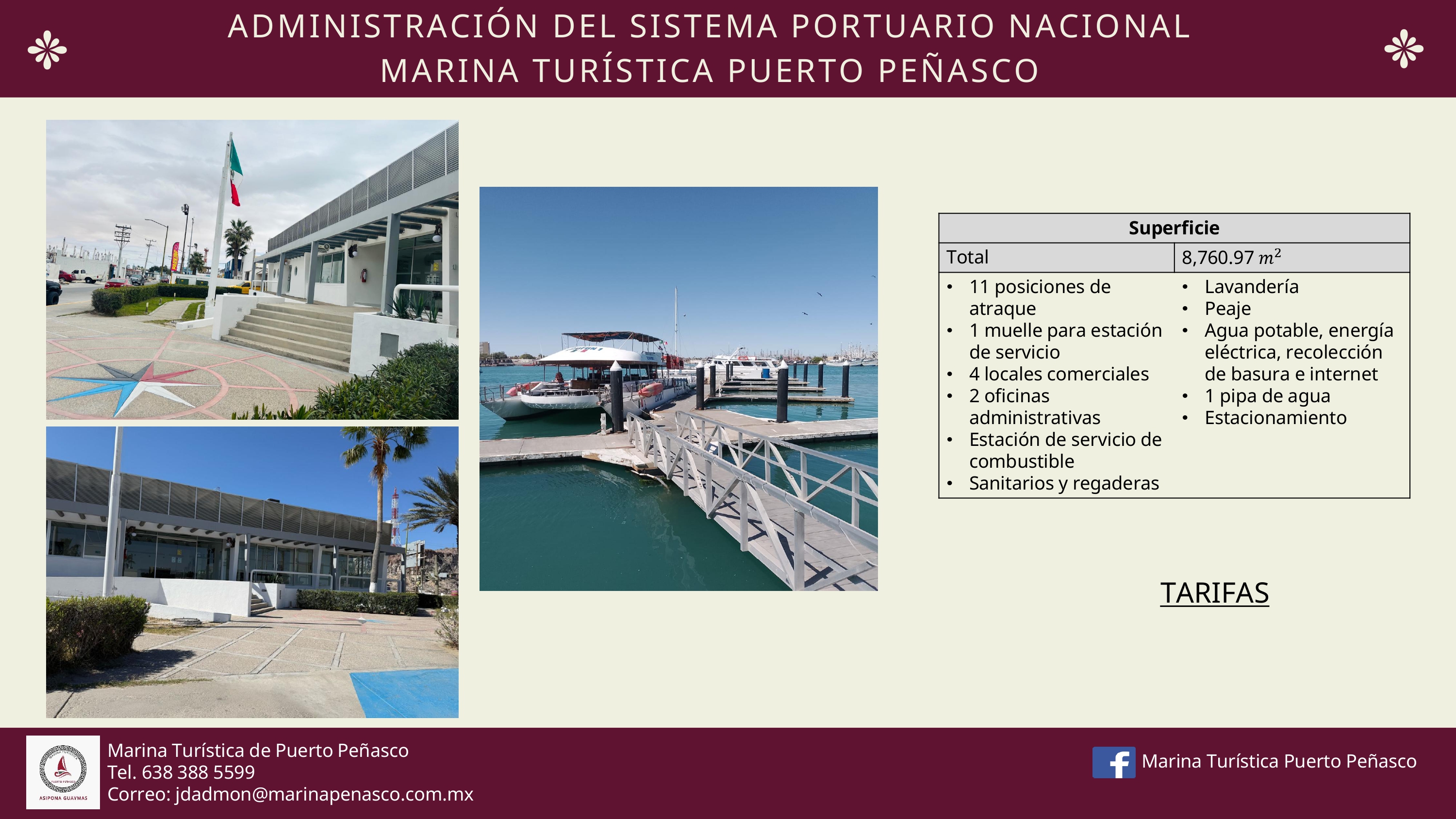 Imagen 6